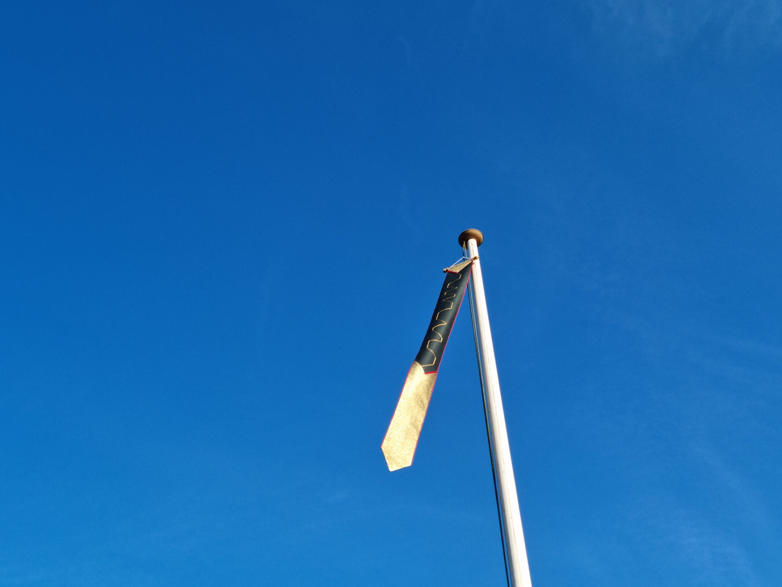 Exclusieve nationale pensioenwimpel - Afbeelding 5