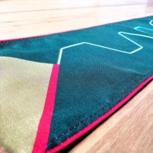 Nationale pensioenwimpel